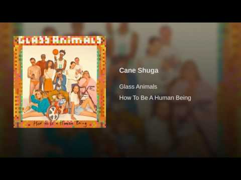 Glass Animals Lyrics - Cane Shuga - Wattpad