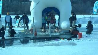 2013 Polar Plunge: Dunkin' Dingbats by nerdtinkerer.com