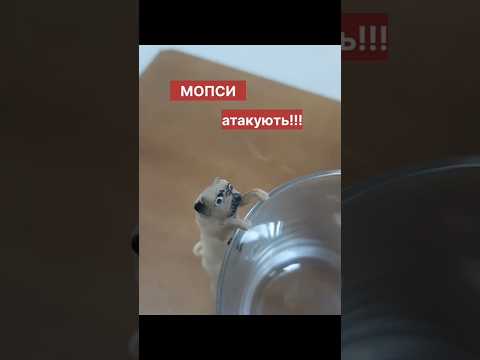 Мопс мини фигурка 1 шт., подарок с мопсом бежевым - фото 1 - id-p2587832239