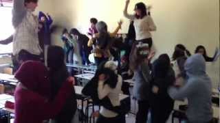 preview picture of video 'Harlem Shake - IIB Liceo Classico Galilei - Nardò'