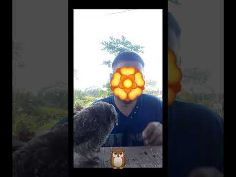 13/DICIEMBRE/2025 | La Cruz, Corrientes.🇦🇷❤️