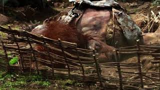 Download lagu Jack The Giant Slayer 2013  5 mp3