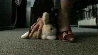 Pablo Eskimo - Bunny Boiler