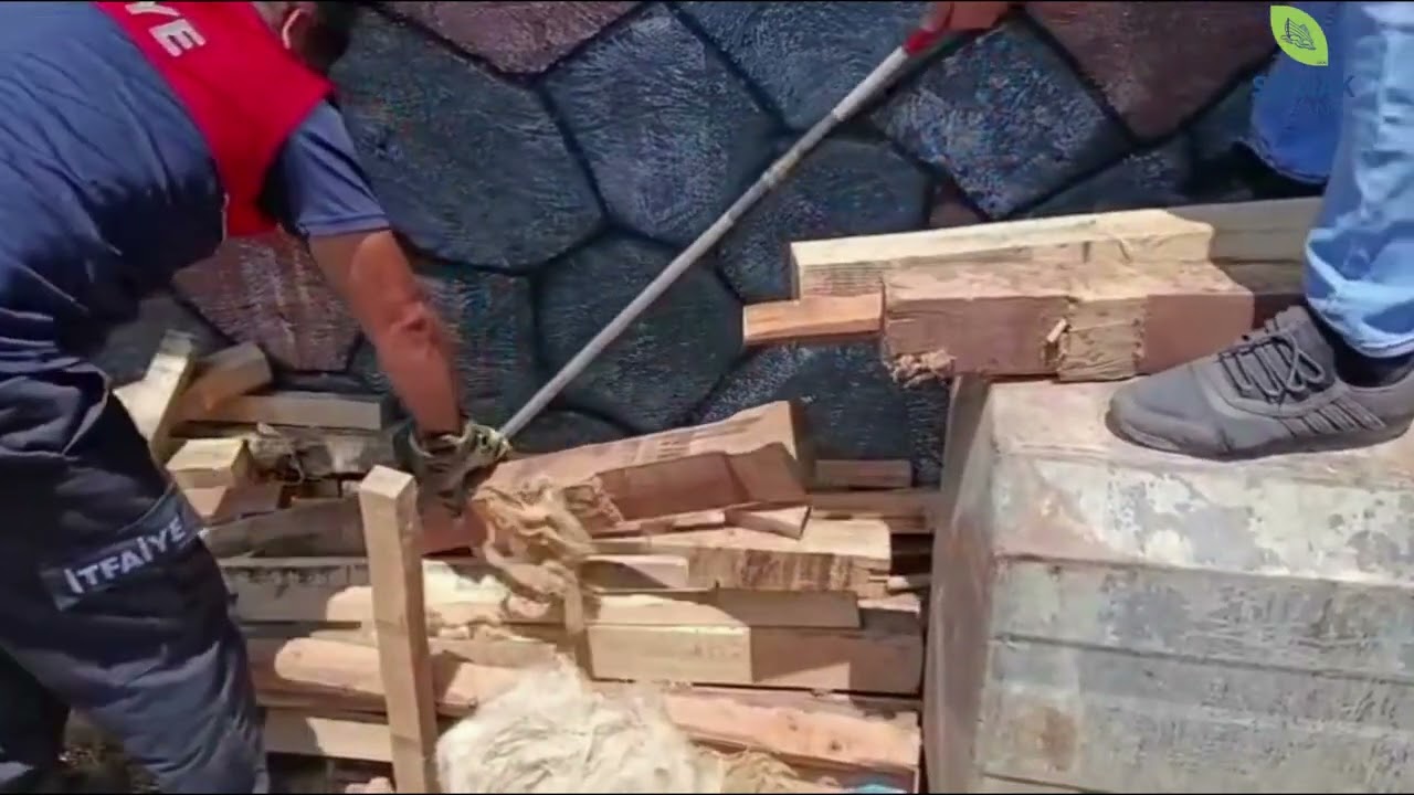 Silopi’de Komodo benzeri hayvan bulundu