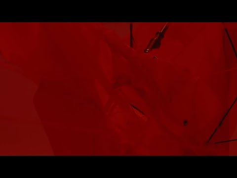 Charlie USG - Si el mundo acaba (Lyric video oficial)