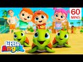 Beach Turtle Playtime | Little Angel | Best Animal Videos for Kids | Kids Songs and Nursery Rhymes