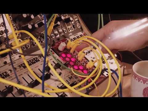 ADDAC System ADDAC207 Intuitive Quantizer Eurorack Red - Refurbished image 8