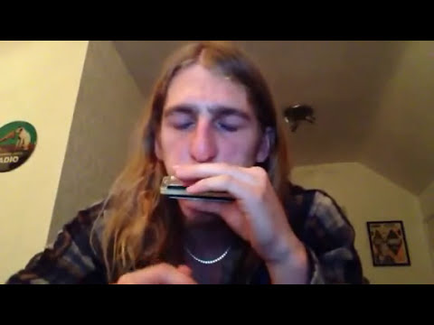 HOW TO PLAY THE BLUES SCALE - C HARMONICA 2ND POSITION LESSON