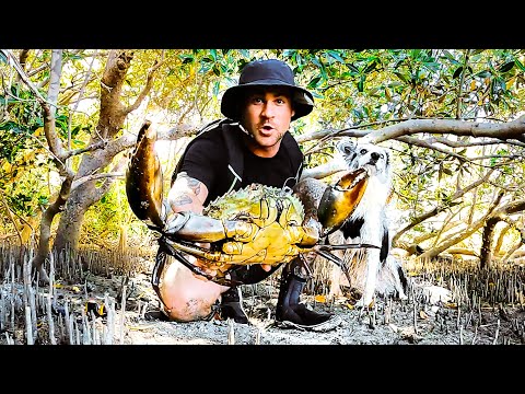 Catching GIANT MUD CRAB Barehanded For Food Living From The Ocean (Solo Remote Camping) - Ep 247