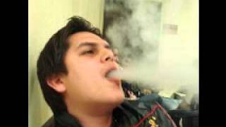 REGULO CARO - ESTILO ESPECIAL 2011