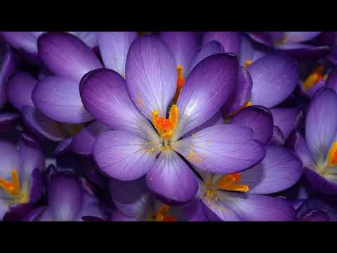 Deep House  Mix Maggio 2022