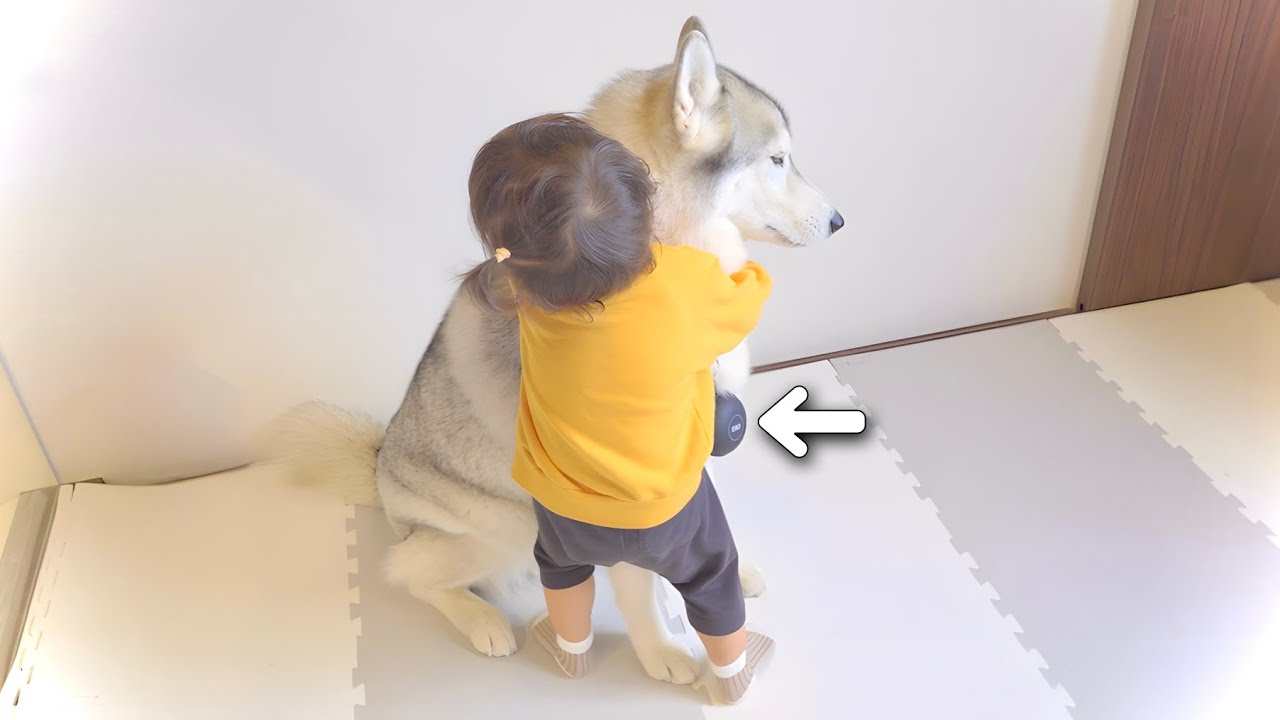 愛犬と娘が会話する夢を叶えたら感動的な光景が見れました...