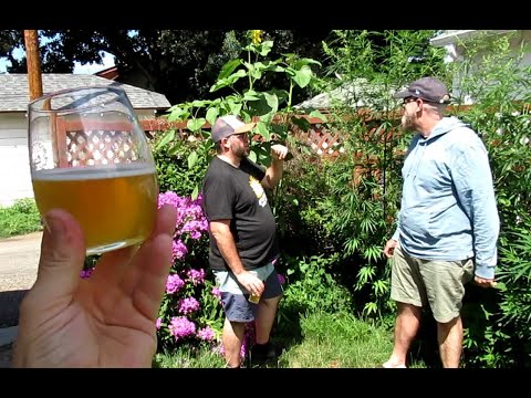 Using WildBrew Philly Sour in a Philly Weisse for a Lightly Sour Beer.