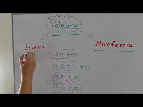 Cómo signar Lexema en LSE