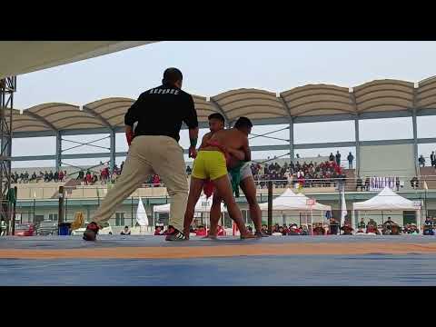 Zapasy WASA / Ćwierćfinał