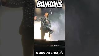 #frontrowpass #bauhaus #live #ziggystardust