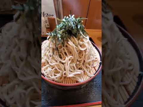[Gunma Town Soba] Comí una porción grande de zaru soba por 870 yenes en el "Restaurante Soba Morita" ubicado cerca de la antigua tienda Ito-Yokado Isesaki en Rentori-cho, ciudad de Isesaki.