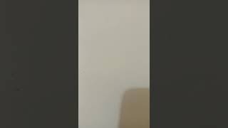 Download lagu 6 Januari 2022 mp3