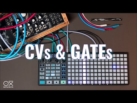 OXI One Walkthrough #4 - CVs & Gates, Config & Routing