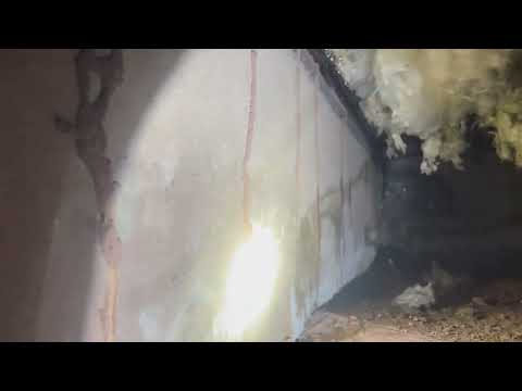Lots of Termite Mud Tubes in the Crawl Space in Kendall Park, NJ