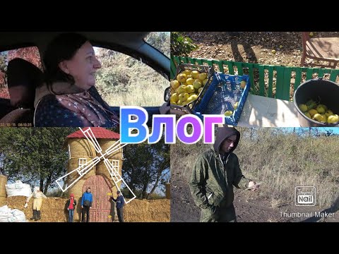 Выходные пошли за грибами - собрали шиповник / Я за рулем / Влог из деревни