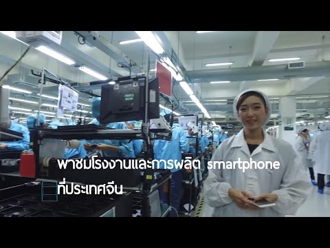 หญิงที่แข็งแกร่งเชื้อโรคที่พวกเขาทำ Analogs เชื้อโรคม้า