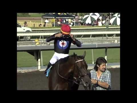 2009 CALIFORNIA CUP MILE, FEATURING THE USUAL Q. T.