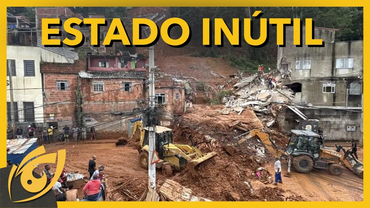 Nikolas, Luciano Hang e Alok provaram que são mais competentes que o estado brasileiro