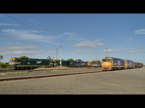 7737V Grain Train Passes Another Grain Train (9/12/2020) - PoathTV Australian Railways