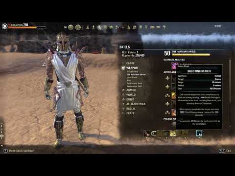 "Aedric Paladin" Magicka Templar PVP build- ESO Dragonbones Patch