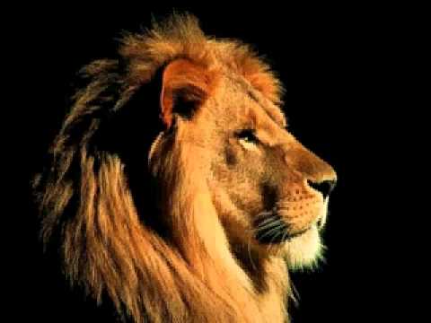 Whole Lotta Fire [12" Mix][with Big Youth] - Niney The Observer.