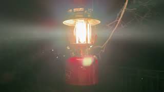 The Coleman 200A195 lantern 01/1974