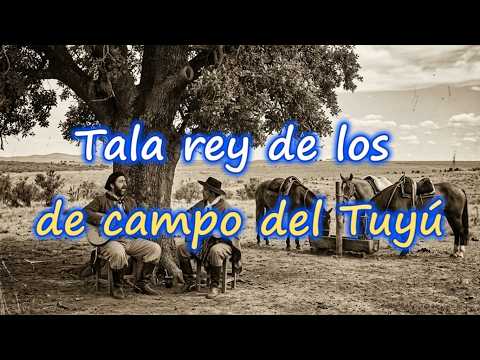 Tala rey de los de Campo del Tuyú, Gral. Lavalle, canción #viral #musica #tala #campos #argentina
