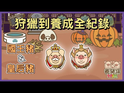 豬元璋 養豬場
