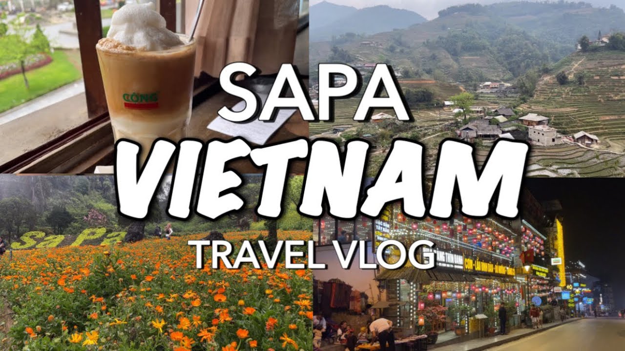 Vietnam Travel Vlog 2024 | 3D2N Sapa Itinerary - Fansipan,Cat Cat Village,Lao Cai,Ham Rong Mountain