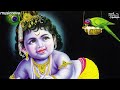 જય કાના કાળા આરતી Jai Kana Kala Aarti | Gujarati Aarti આરતી | Krishna Songs | Krishn