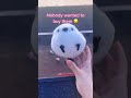I M Sorry Little Ones Tofucute Plushies Plush Kawaii Kawaiiplush Plushtoys Kawaiishop