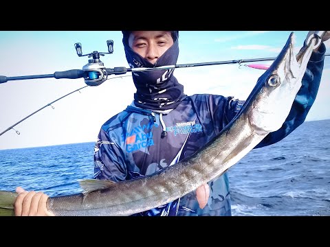 Mancing Trolling Strike Monster Barracuda 5 KG || Fugu Arnius with Okuma Sato