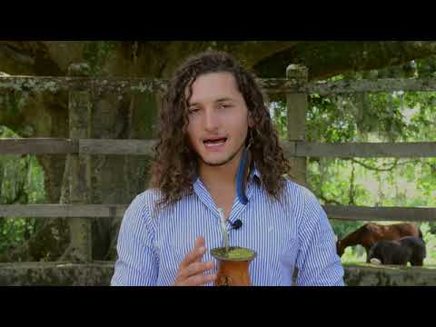 Amanse do Átila - Doma Índia com Guto Petry