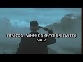 Otnicka Where Are You Slowed SAOZ