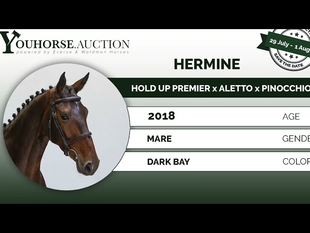 Hermine @ eventing