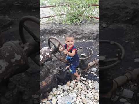 Sadu Halimar iha Mina Suai Loro