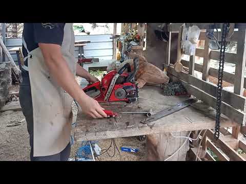 SHINDAIWA 501 SX   professional chainsaw  # MOTOSEGA PROFESSIONALE   complete maintenance