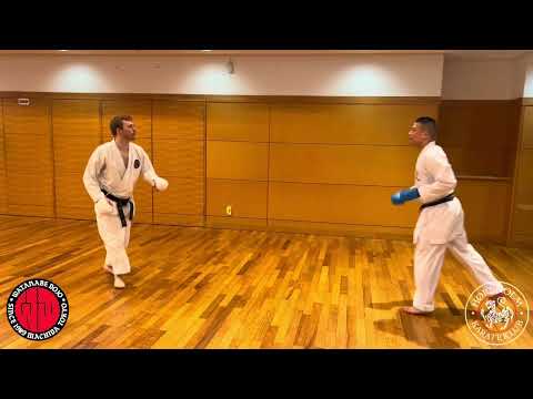 Explosive kizamizuki gyakuzuki exercises from Watanabe-sensei