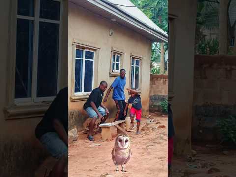 POV: You are doing a home lesson in the village and village people send their chairman