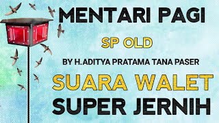 Download lagu SP. MENTARI PAGI SWTP BY H.ADITYA TANA PASER MP3 | SUARA PANGGIL WALET FULL RESPON mp3 Download lagu SP. MENTARI PAGI SWTP BY H.ADITYA TANA PASER MP3 | SUARA PANGGIL WALET FULL RESPON mp3