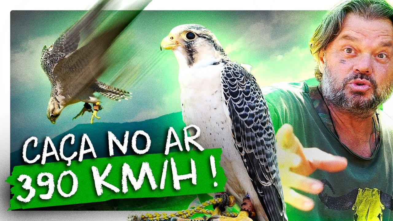 O ANIMAL MAIS RÁPIDO DO MUNDO! | RICHARD RASMUSSEN