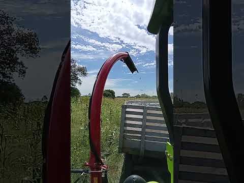 tractor zomliom ensilado maíz astrea cesar