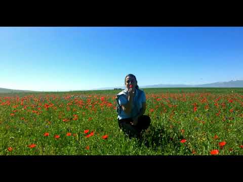 Kristine Mkrtchyan - Yar@ mardun yara kuta