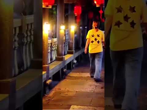 Solar Tungsten Wall Light with Motion Sensor